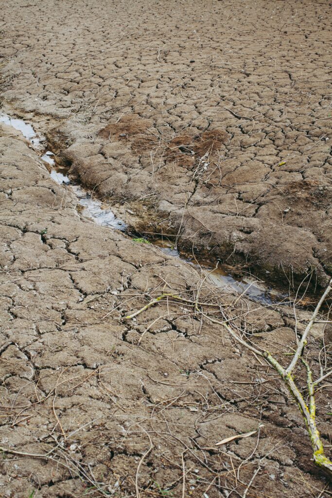 drought and concrete around your home